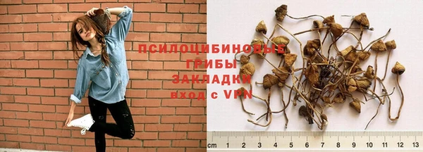 хмурый Баксан