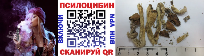 наркота Воронеж Псилоцибиновые грибы GOLDEN TEACHER